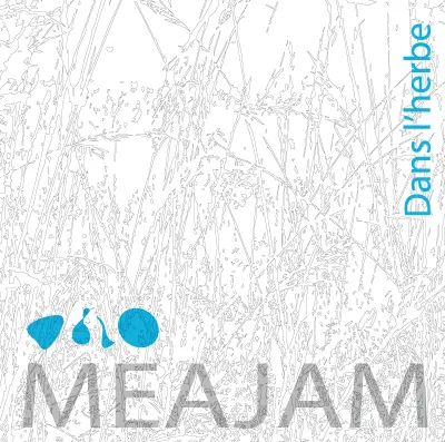 Dans l'herbe, album du groupe de jazz contemporain Méajam basé à Toulouse